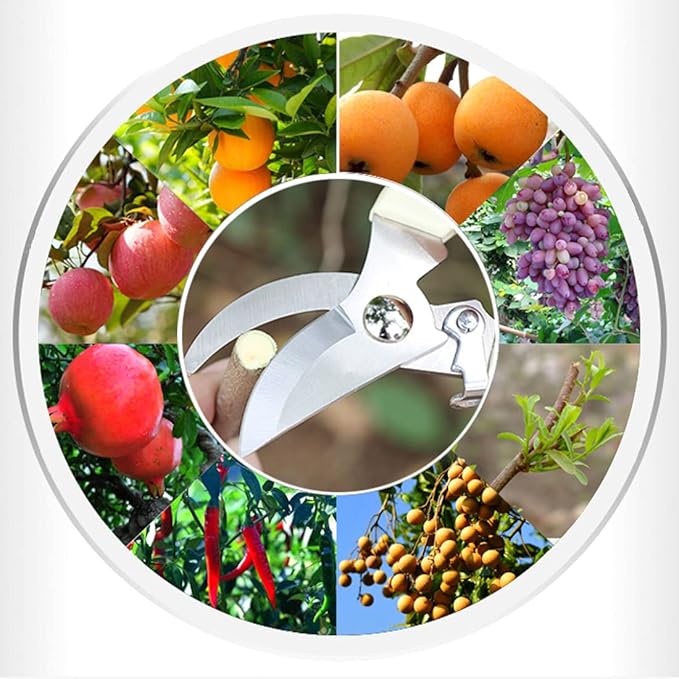 Leize Pruning Shears, Gardening Hand Pruner, Floral Shears, Strong Pruner for Flowers, Branches and Leaves (LightBlueA)