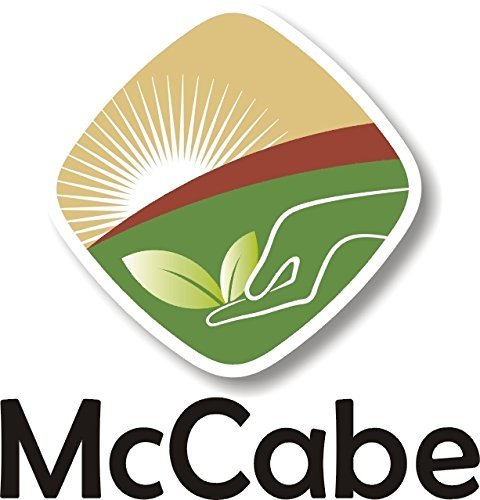 McCabe Organic Buckwheat Flour - Buckwheat Flour Organic | Rich with Fiber & Minerals | USDA and CCOF Certified | Packed in USA | 2Lbs