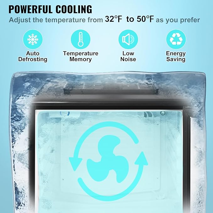 VEVOR Beer Kegerator, Dual Tap Commercial Draft Beer Dispenser for D system, Full Size Keg Refrigerator with 5lbs CO2 Tank, Hold 2 Sixth / 2 Ball lock keg, Black