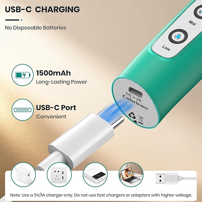 Colarlemo Milk Frother Handheld Rechargeable with Stand, Frother Wand Drink Mixer Electric Whisk for Coffee, Detachable With 3 Stainless Whisks, Hand Mixer for Lattes, Cappuccino, Matcha, Egg, Green