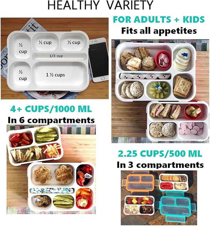 Bento Box Lunch Boxes and Snack Containers for Kids Girls Boys | Leakproof Portion Container Kits Bpa Free | Pack Set Of 4 | Teal Orange Large + Mini, Value 4 Pack